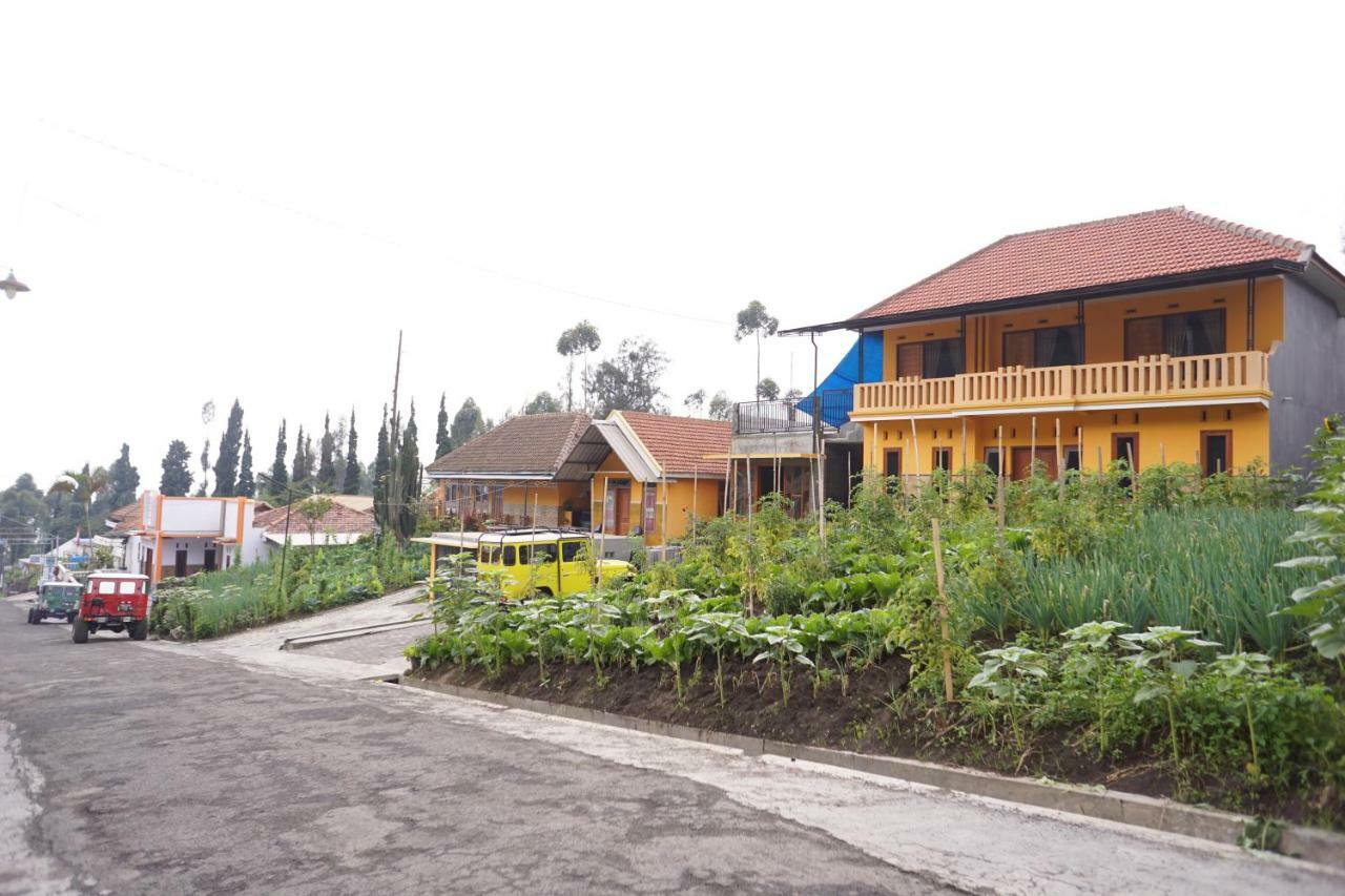 Homestay Lereng برومو المظهر الخارجي الصورة