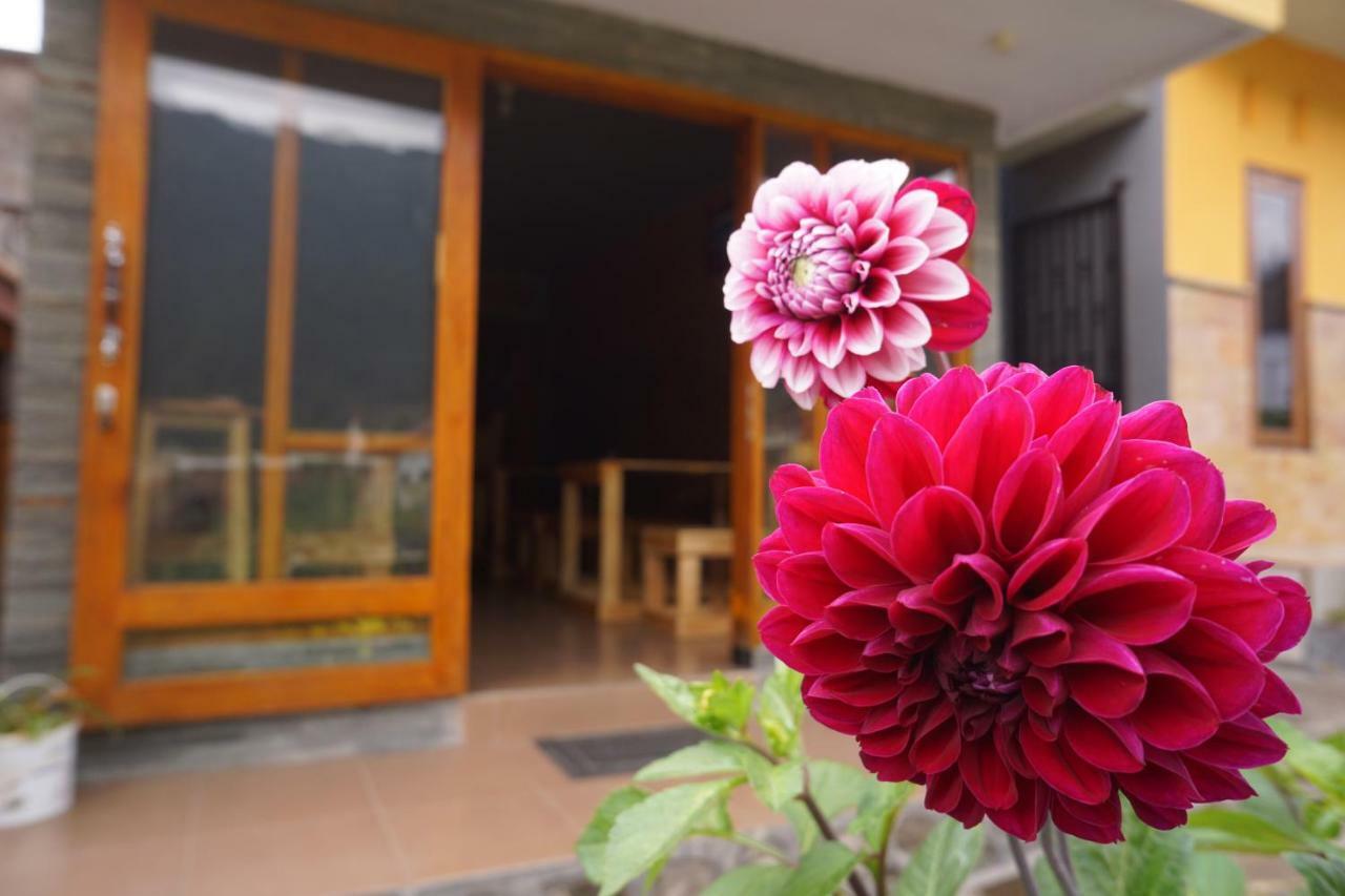 Homestay Lereng برومو المظهر الخارجي الصورة